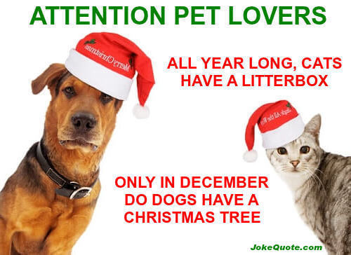 Funny Christmas Jokes:
Photo of dog and cat in Santa hats with caption, "Attention pet lovers: all year long cats have a litter box. Only in December do dogs have a Christmas tree."