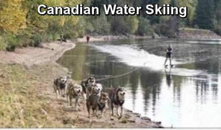 Funny photo and Canadian joke Photo of a man water skiing on river, being pulled by dogsled team on land. Caption: "Canadian Water Skiing."