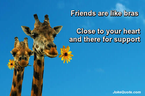 Funny Friend Quotes