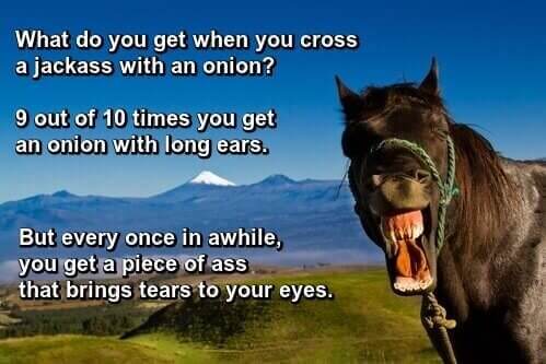 Short Hilarious Jokes