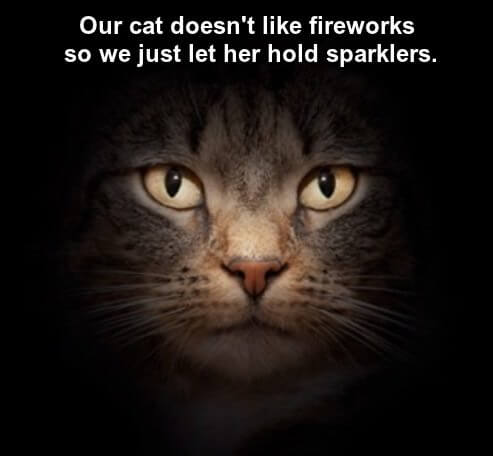 Independence Day Jokes & Funny Quotes