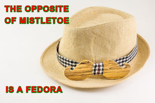 Photo of a tan fedora with caption: "The opposite of mistletoe is a fedora."