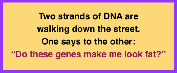 Banner with joke: Two strands of DNA are walking down the street and one says, "Do these genes make me look fat?"