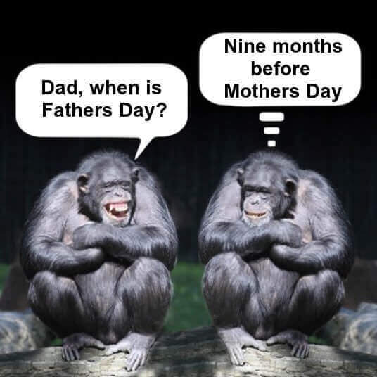 Image result for Father's Day jokes