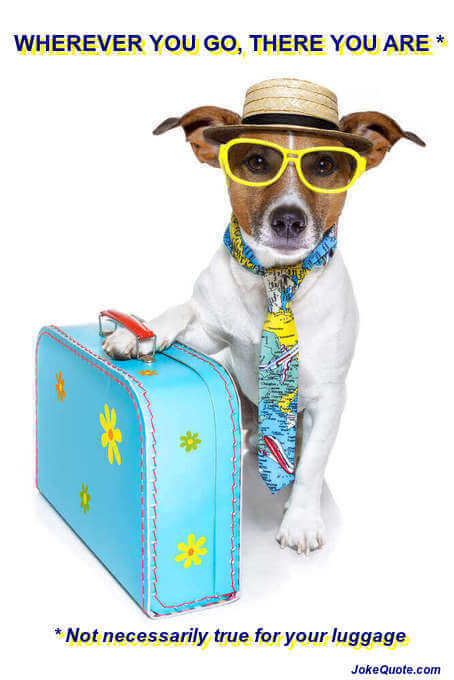 Funny Travel Quotes: dog and suitcase image with quote: "Wherever you go, there you are. But this is not necessarily true for your luggage."